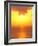 Sunset on Shizuoka, Japan-Rob Tilley-Framed Photographic Print