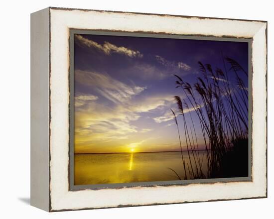 Sunset on the Barnegat Bay and Sea Oats-Bob Krist-Framed Premier Image Canvas