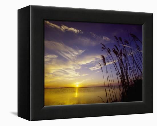 Sunset on the Barnegat Bay and Sea Oats-Bob Krist-Framed Premier Image Canvas