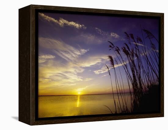 Sunset on the Barnegat Bay and Sea Oats-Bob Krist-Framed Premier Image Canvas