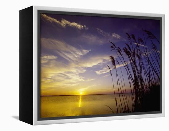 Sunset on the Barnegat Bay and Sea Oats-Bob Krist-Framed Premier Image Canvas