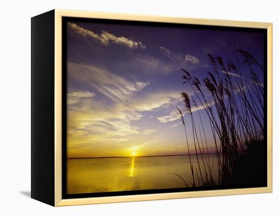 Sunset on the Barnegat Bay and Sea Oats-Bob Krist-Framed Premier Image Canvas