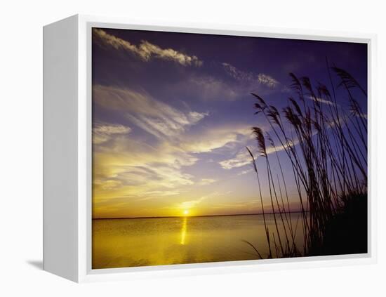 Sunset on the Barnegat Bay and Sea Oats-Bob Krist-Framed Premier Image Canvas