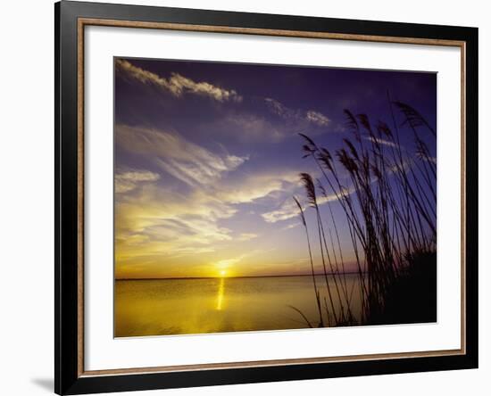 Sunset on the Barnegat Bay and Sea Oats-Bob Krist-Framed Photographic Print