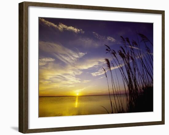 Sunset on the Barnegat Bay and Sea Oats-Bob Krist-Framed Photographic Print