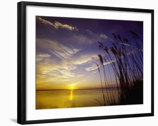 Sunset on the Barnegat Bay and Sea Oats-Bob Krist-Framed Photographic Print