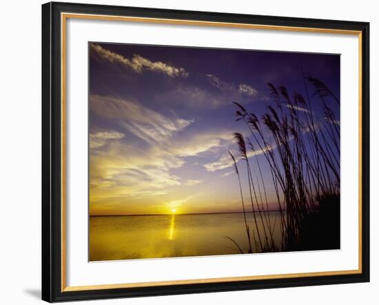 Sunset on the Barnegat Bay and Sea Oats-Bob Krist-Framed Photographic Print