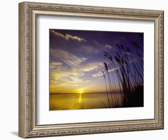 Sunset on the Barnegat Bay and Sea Oats-Bob Krist-Framed Photographic Print