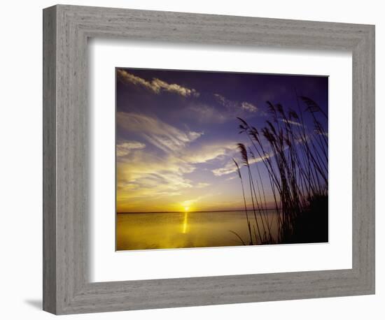 Sunset on the Barnegat Bay and Sea Oats-Bob Krist-Framed Photographic Print