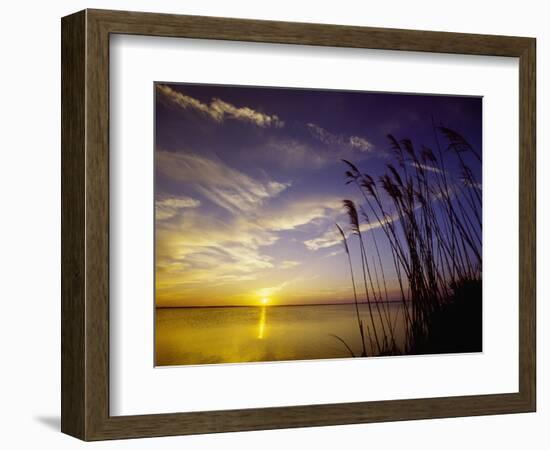 Sunset on the Barnegat Bay and Sea Oats-Bob Krist-Framed Photographic Print