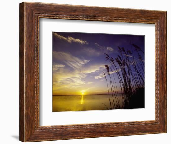 Sunset on the Barnegat Bay and Sea Oats-Bob Krist-Framed Photographic Print