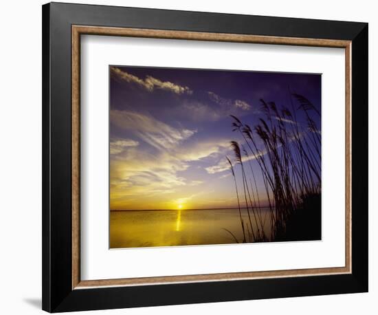 Sunset on the Barnegat Bay and Sea Oats-Bob Krist-Framed Photographic Print