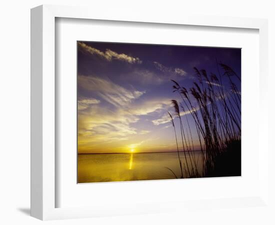 Sunset on the Barnegat Bay and Sea Oats-Bob Krist-Framed Photographic Print