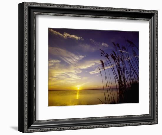 Sunset on the Barnegat Bay and Sea Oats-Bob Krist-Framed Photographic Print