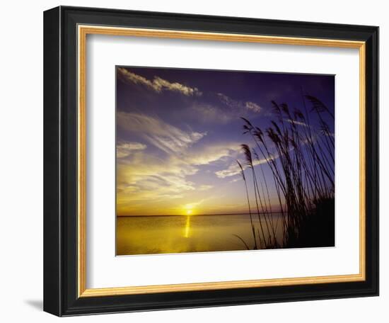 Sunset on the Barnegat Bay and Sea Oats-Bob Krist-Framed Photographic Print