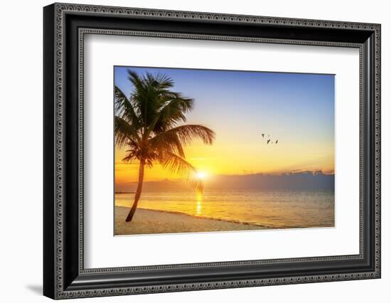 Sunset on the Beach-vent du sud-Framed Photographic Print