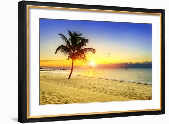 Sunset on the Beach-vent du sud-Framed Photographic Print