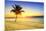 Sunset on the Beach-vent du sud-Mounted Photographic Print