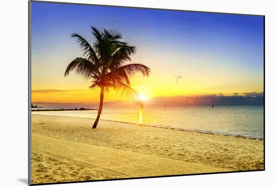 Sunset on the Beach-vent du sud-Mounted Photographic Print