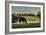 Sunset On The Farm-Galloimages Online-Framed Photographic Print