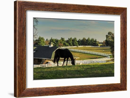 Sunset On The Farm-Galloimages Online-Framed Photographic Print