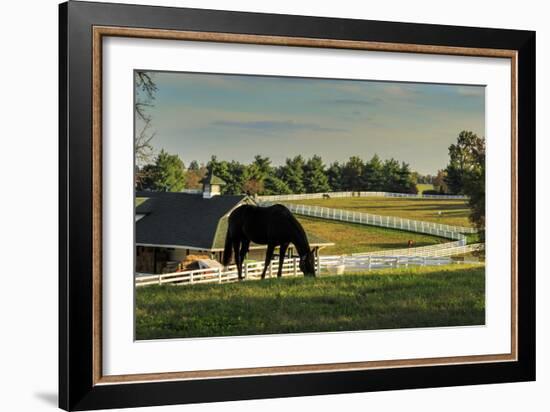 Sunset On The Farm-Galloimages Online-Framed Photographic Print