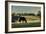 Sunset On The Farm-Galloimages Online-Framed Photographic Print