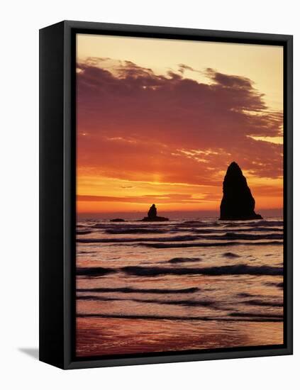 Sunset on the Haystack Rocks in Cannon Beach, Clatsop County, Northern Coast, Oregon, USA-null-Framed Premier Image Canvas