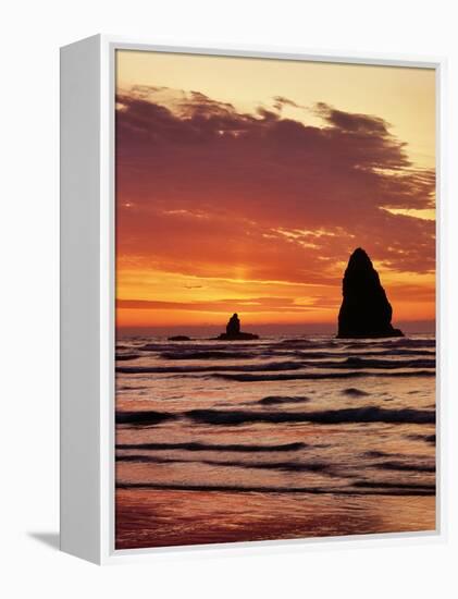 Sunset on the Haystack Rocks in Cannon Beach, Clatsop County, Northern Coast, Oregon, USA-null-Framed Premier Image Canvas