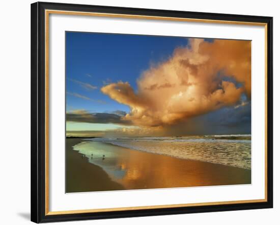 Sunset on the ocean, New South Wales, Australia-Frank Krahmer-Framed Giclee Print