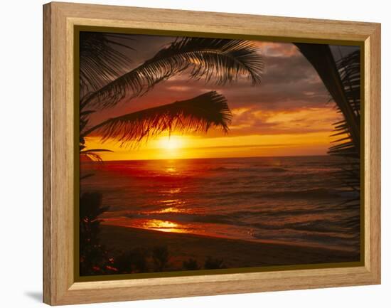 Sunset on the Ocean with Palm Trees, Oahu, HI-Bill Romerhaus-Framed Premier Image Canvas