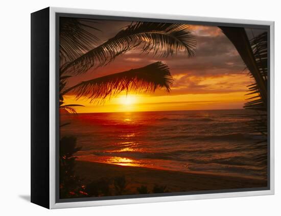 Sunset on the Ocean with Palm Trees, Oahu, HI-Bill Romerhaus-Framed Premier Image Canvas