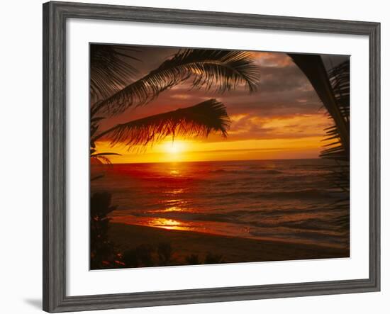 Sunset on the Ocean with Palm Trees, Oahu, HI-Bill Romerhaus-Framed Photographic Print