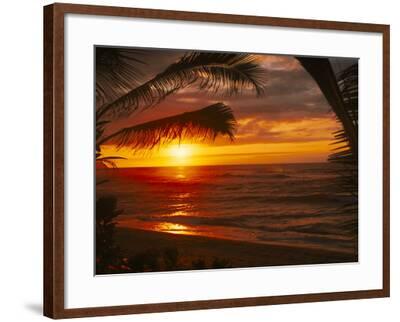 'Sunset on the Ocean with Palm Trees, Oahu, HI' Photographic Print ...