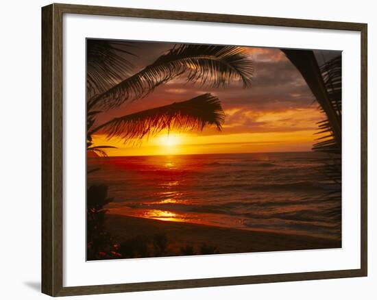 Sunset on the Ocean with Palm Trees, Oahu, HI-Bill Romerhaus-Framed Photographic Print