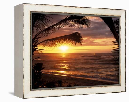 Sunset on the Ocean with Palm Trees, Oahu, HI-Bill Romerhaus-Framed Premier Image Canvas