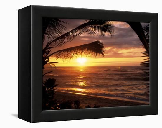 Sunset on the Ocean with Palm Trees, Oahu, HI-Bill Romerhaus-Framed Premier Image Canvas