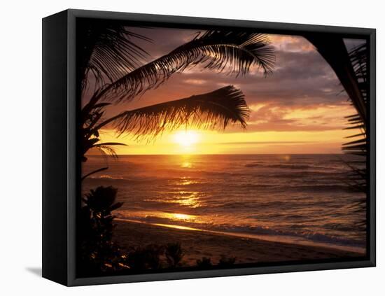 Sunset on the Ocean with Palm Trees, Oahu, HI-Bill Romerhaus-Framed Premier Image Canvas