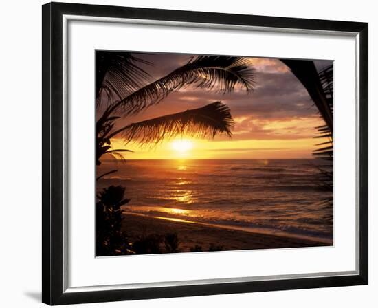 Sunset on the Ocean with Palm Trees, Oahu, HI-Bill Romerhaus-Framed Premium Photographic Print