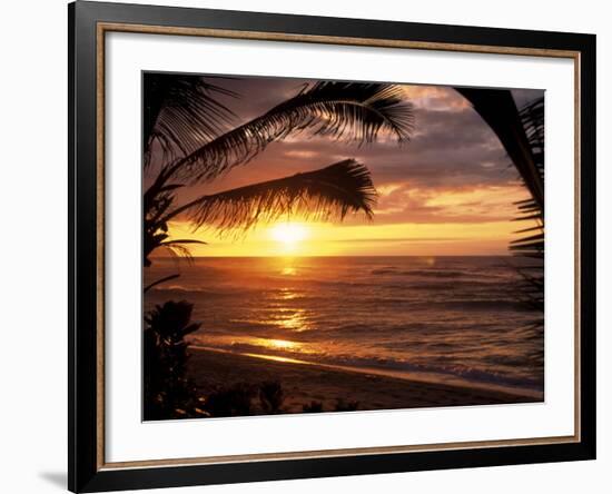 Sunset on the Ocean with Palm Trees, Oahu, HI-Bill Romerhaus-Framed Premium Photographic Print