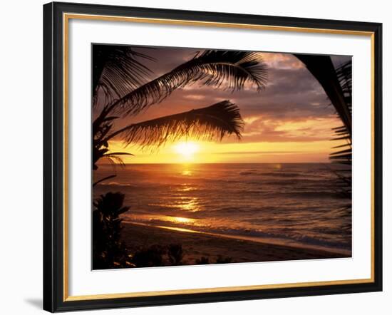 Sunset on the Ocean with Palm Trees, Oahu, HI-Bill Romerhaus-Framed Premium Photographic Print