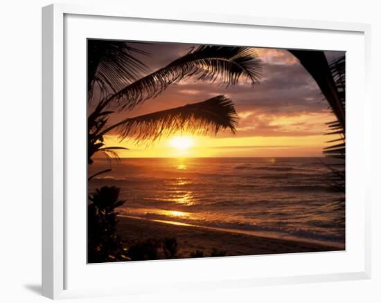 Sunset on the Ocean with Palm Trees, Oahu, HI-Bill Romerhaus-Framed Photographic Print