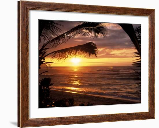 Sunset on the Ocean with Palm Trees, Oahu, HI-Bill Romerhaus-Framed Photographic Print