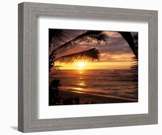 Sunset on the Ocean with Palm Trees, Oahu, HI-Bill Romerhaus-Framed Photographic Print