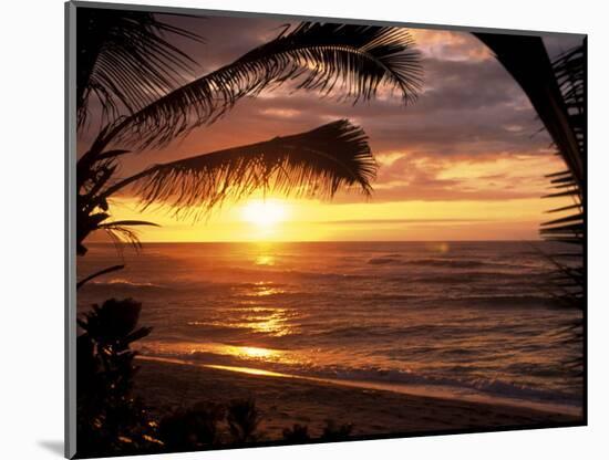 Sunset on the Ocean with Palm Trees, Oahu, HI-Bill Romerhaus-Mounted Photographic Print