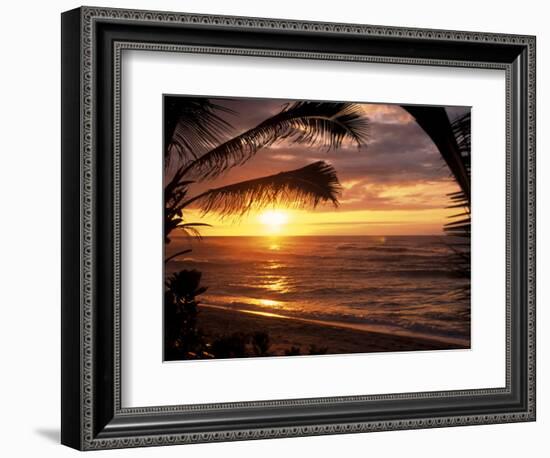 Sunset on the Ocean with Palm Trees, Oahu, HI-Bill Romerhaus-Framed Photographic Print