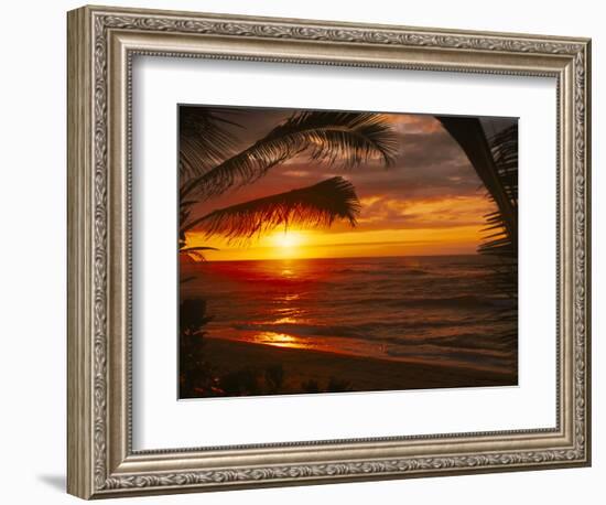 Sunset on the Ocean with Palm Trees, Oahu, HI-Bill Romerhaus-Framed Photographic Print