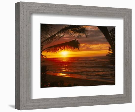 Sunset on the Ocean with Palm Trees, Oahu, HI-Bill Romerhaus-Framed Photographic Print