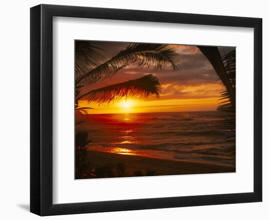 Sunset on the Ocean with Palm Trees, Oahu, HI-Bill Romerhaus-Framed Photographic Print