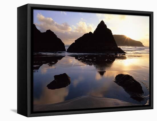 Sunset on the Oregon Coast at Harris Beach State Park, Oregon, USA-Jerry Ginsberg-Framed Premier Image Canvas